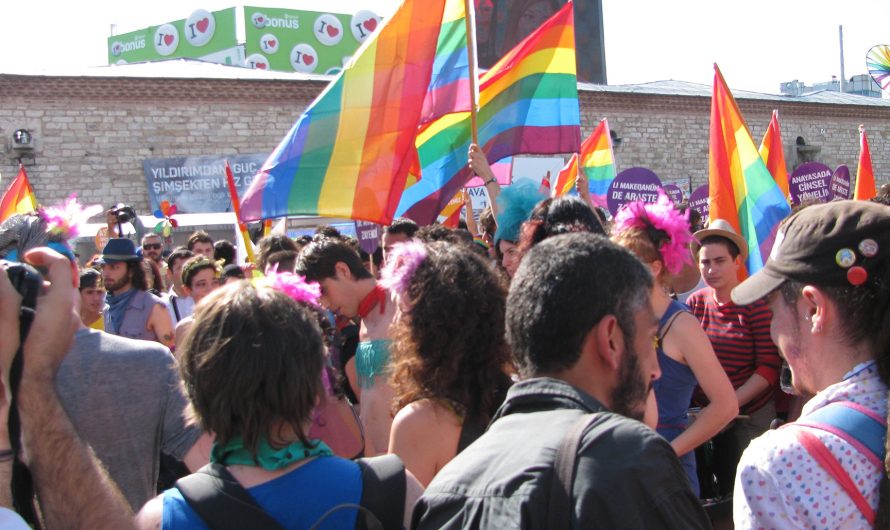 المثلية الجنسية أمر طبيعي في تركيا